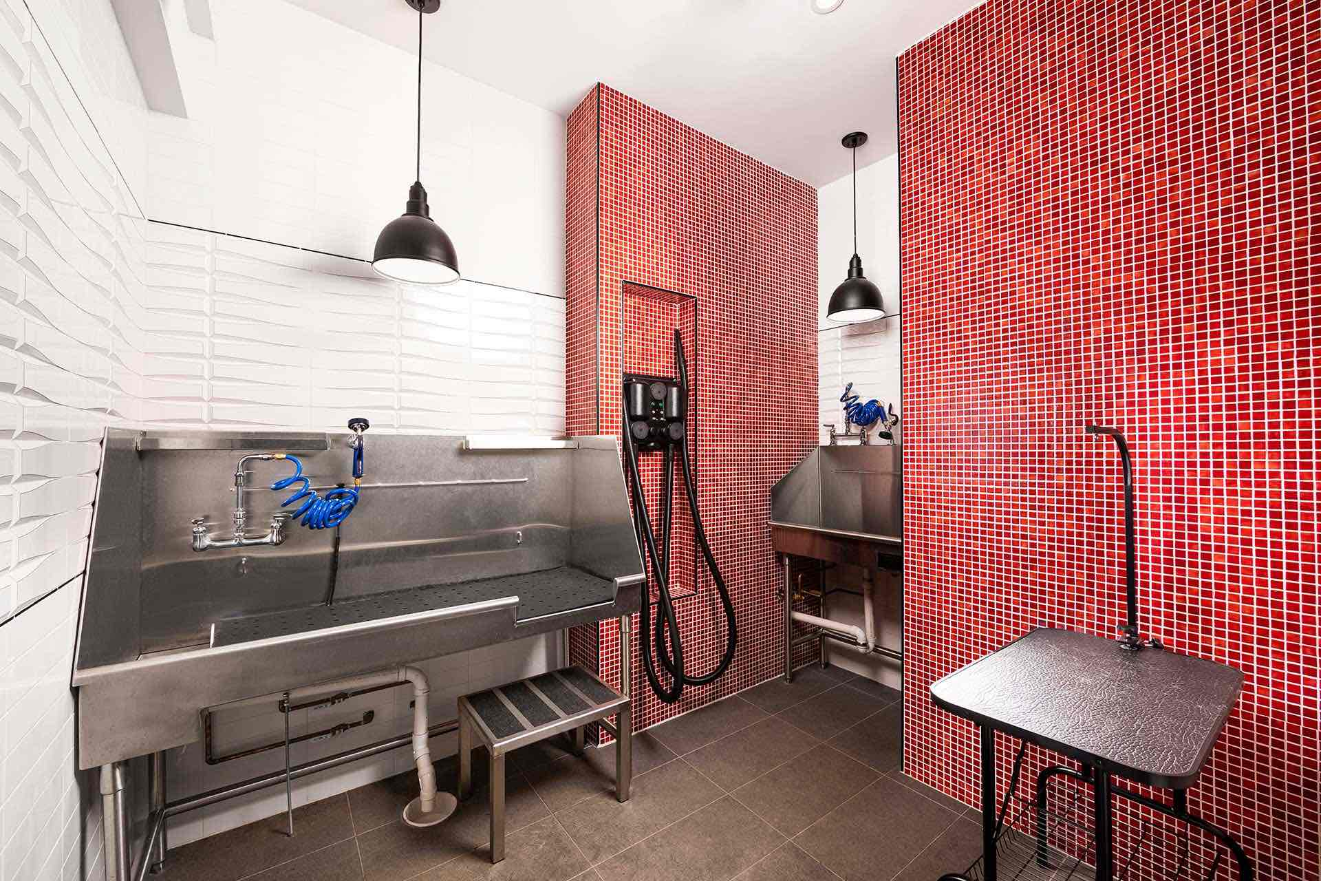 Modern on M's pet spa making grooming day easier - and more affordable!